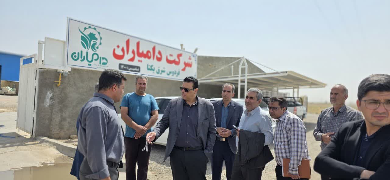 بررسی مشکل آب مجتمع دامیاران با حضور فرماندار